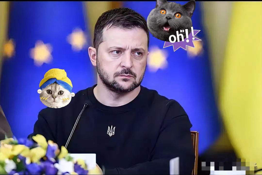 就在刚刚
 
乌克兰正式发布重要消息！
 
2025年11月11日乌克兰国家电力