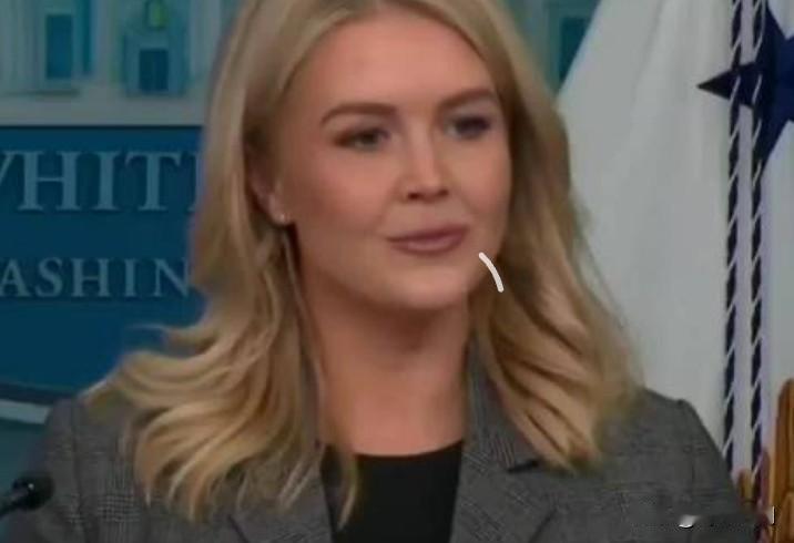 莱维特称记者提问卑鄙

记者：白宫是如何认定（特朗普女婿）贾里德·库什纳处理涉及