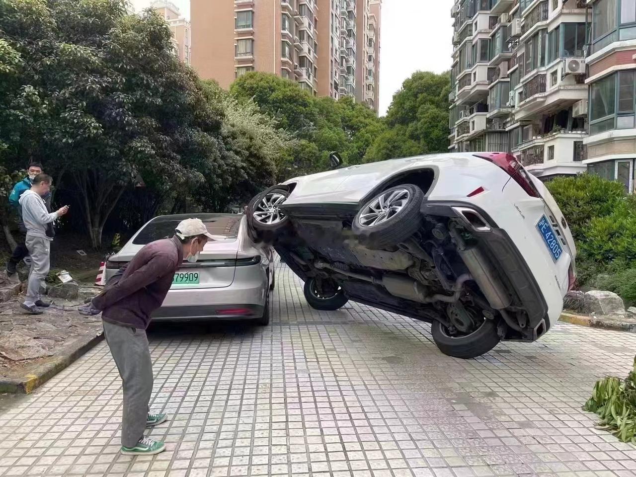 有了智驾能避免这种悲剧吗？？？
