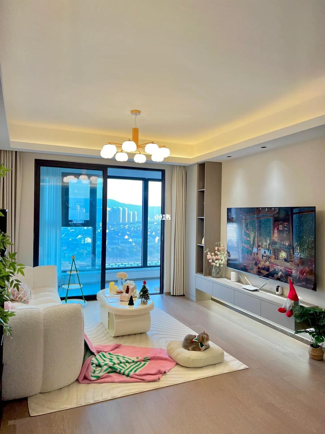 两人一猫宅家过圣诞🎄是我越住越爱的小家呀