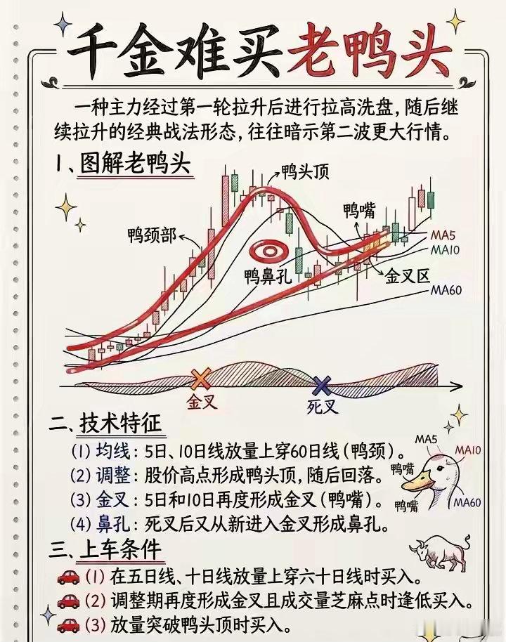 千金难买老鸭头 