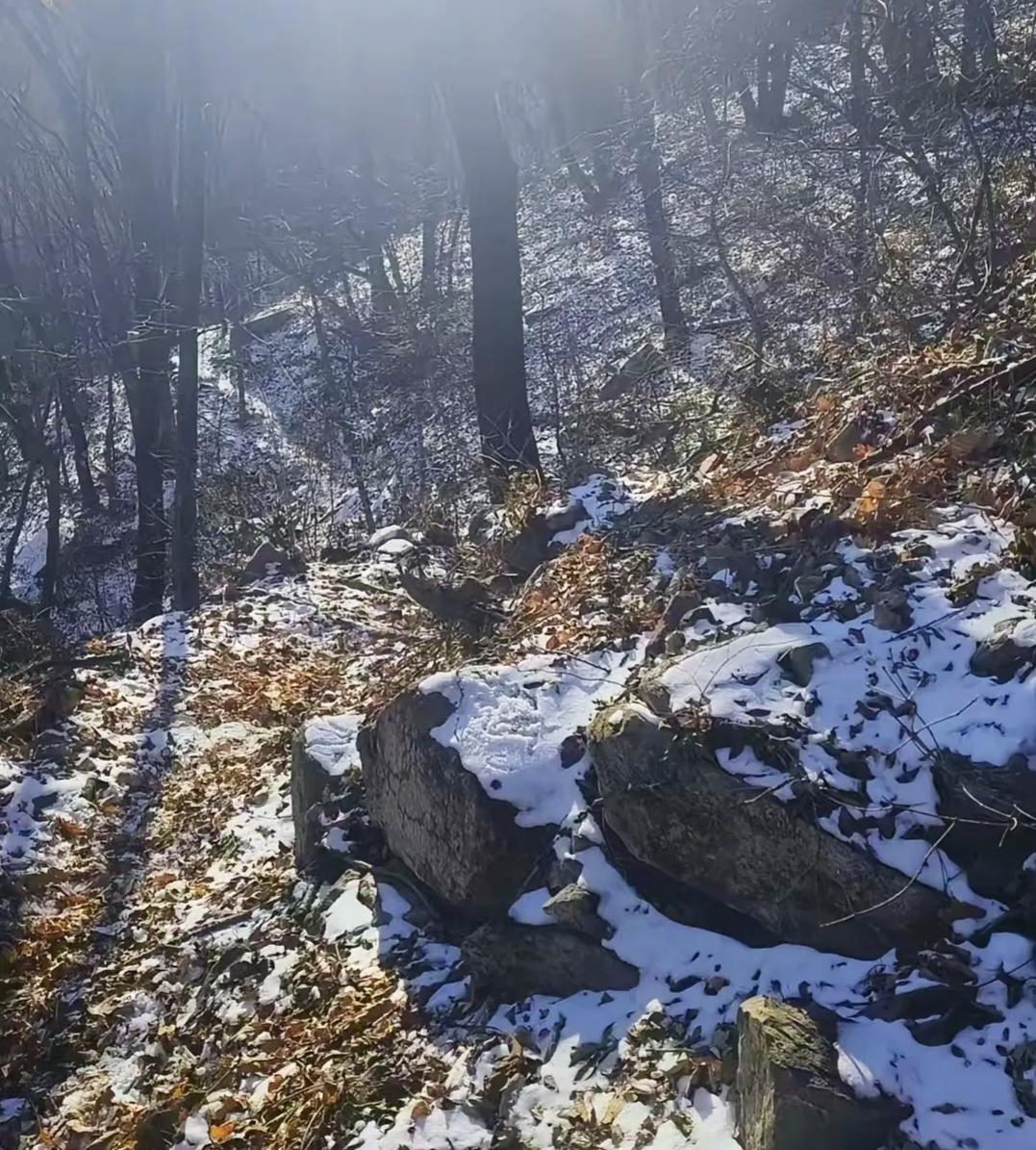 好好活着

62岁老友猝然离世，半生攒下的衣服被当垃圾丢，珠宝存款成了别人的，这