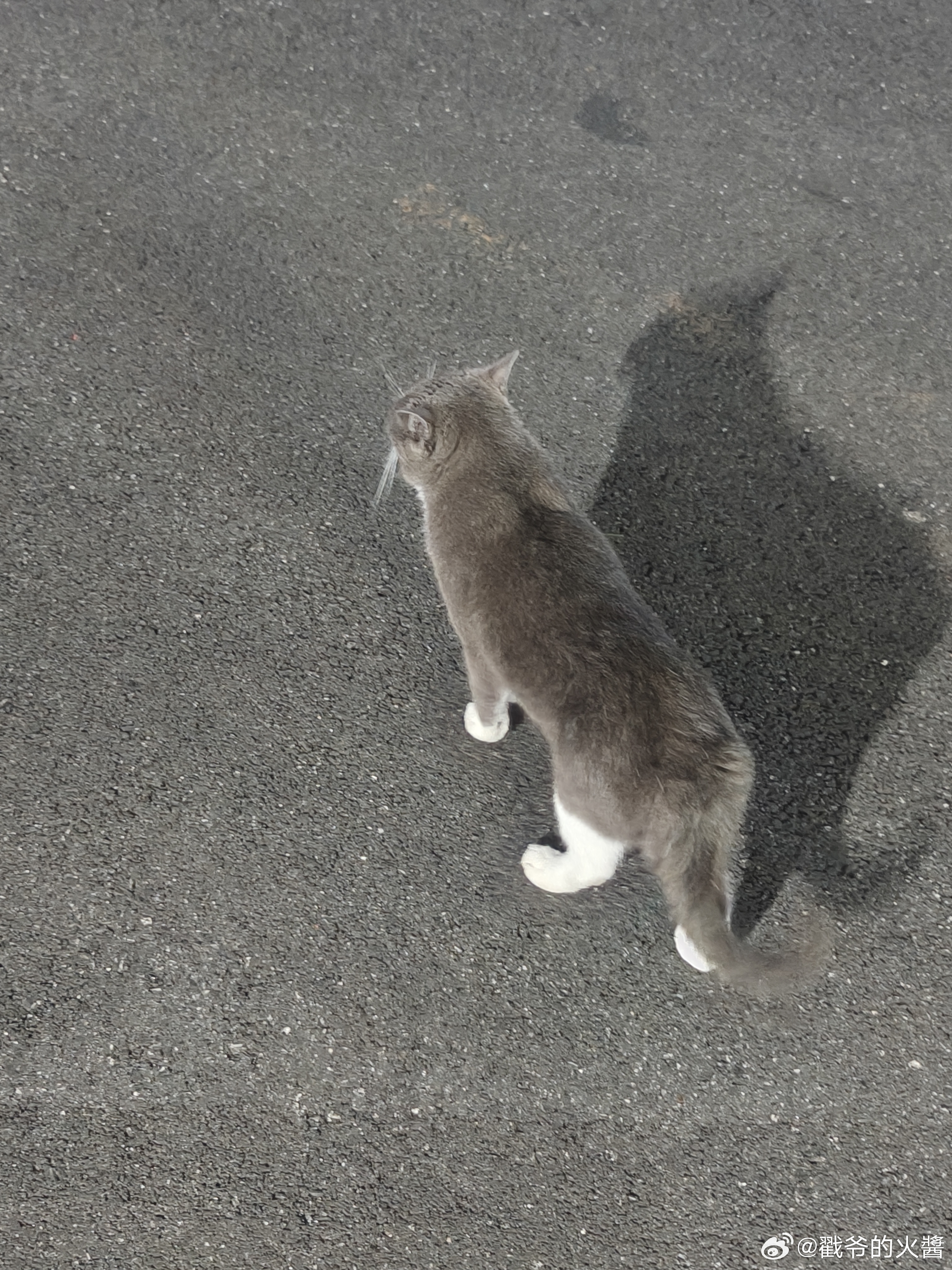 穿白袜的黑皮体育生🐱🐱 