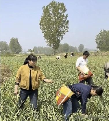 小乡村的故事！
   你以为 大飞他妈是来干活，闹了半天是来捣乱的。这老妖婆 不