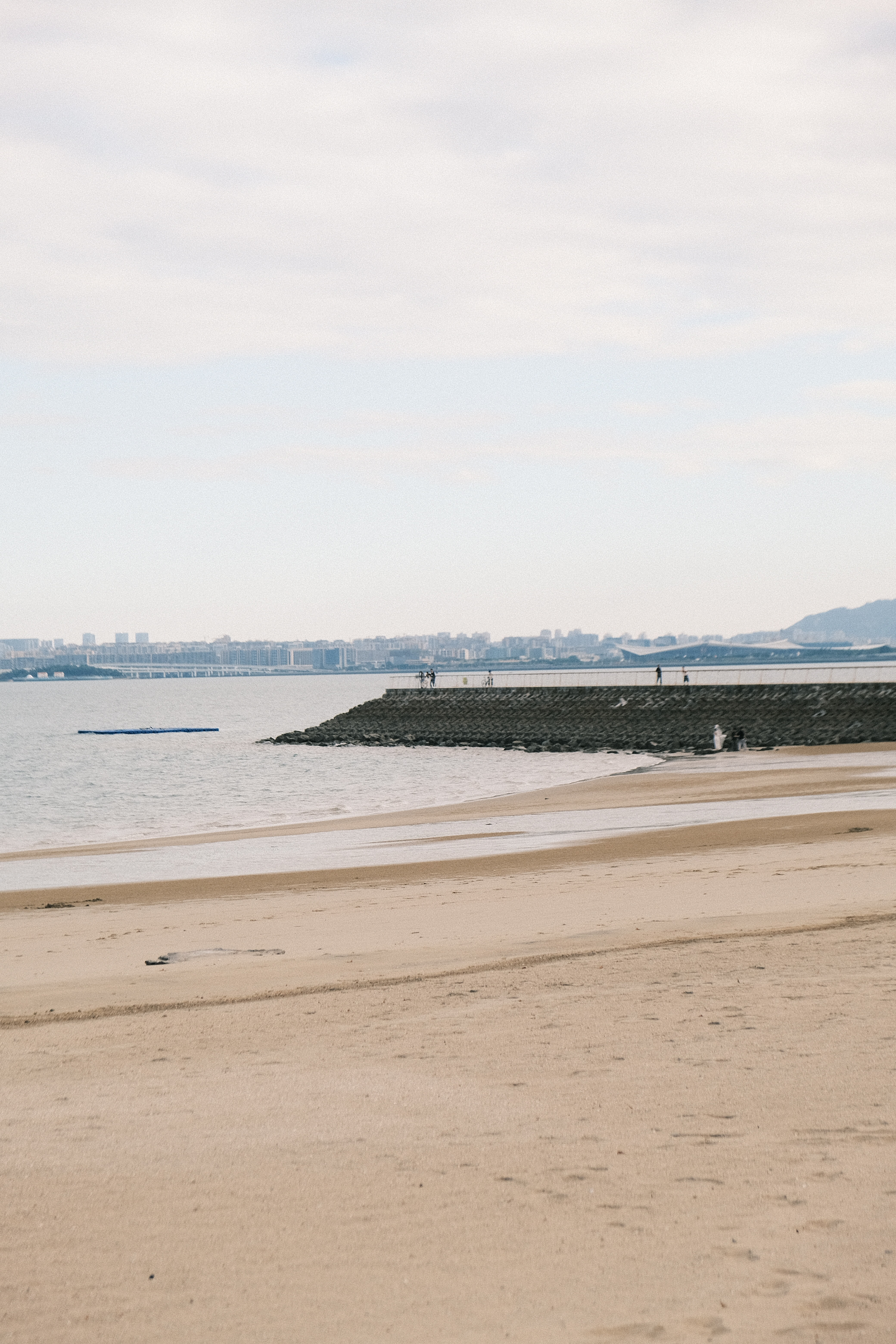 图书馆其实很考验憋笑能力看见熟人总是想笑所以我去户外看书虽然要做的事已经火烧眉毛