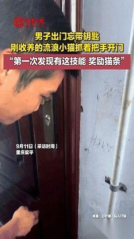 重庆，九月，楼道里闷得像蒸笼。
吴先生靠在自家门上，衬衫后背已经湿透了。钥匙，就