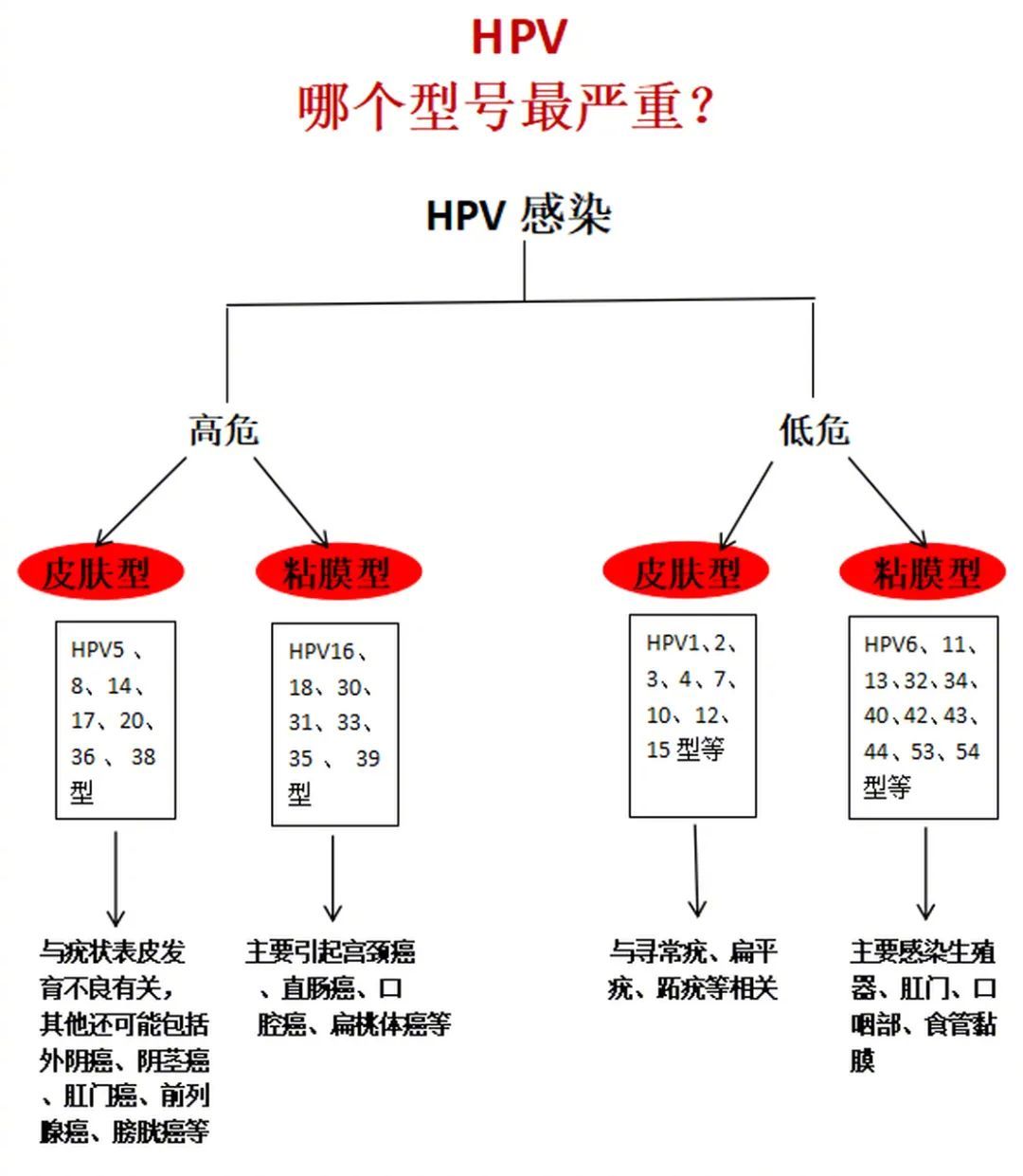 没有性生活也会感染HPV吗？回答是当然！之前看一位医生接受采访说，他的一位病人就