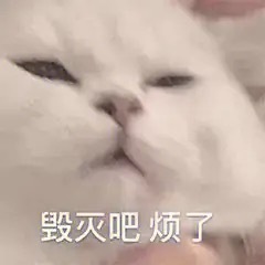 埃及旅游 小费我去埃及的时候我给自己定目标每天尽量只被骗三次 ​​​
