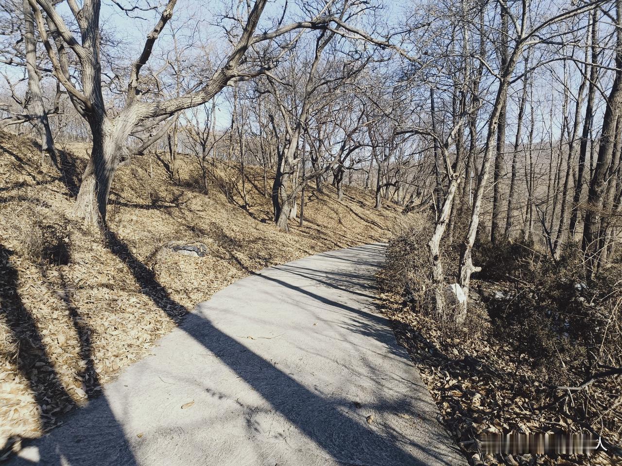 这真的是冬天的味道。萧瑟凄凉。整个世界似乎一瞬间失去了绚丽的色彩。