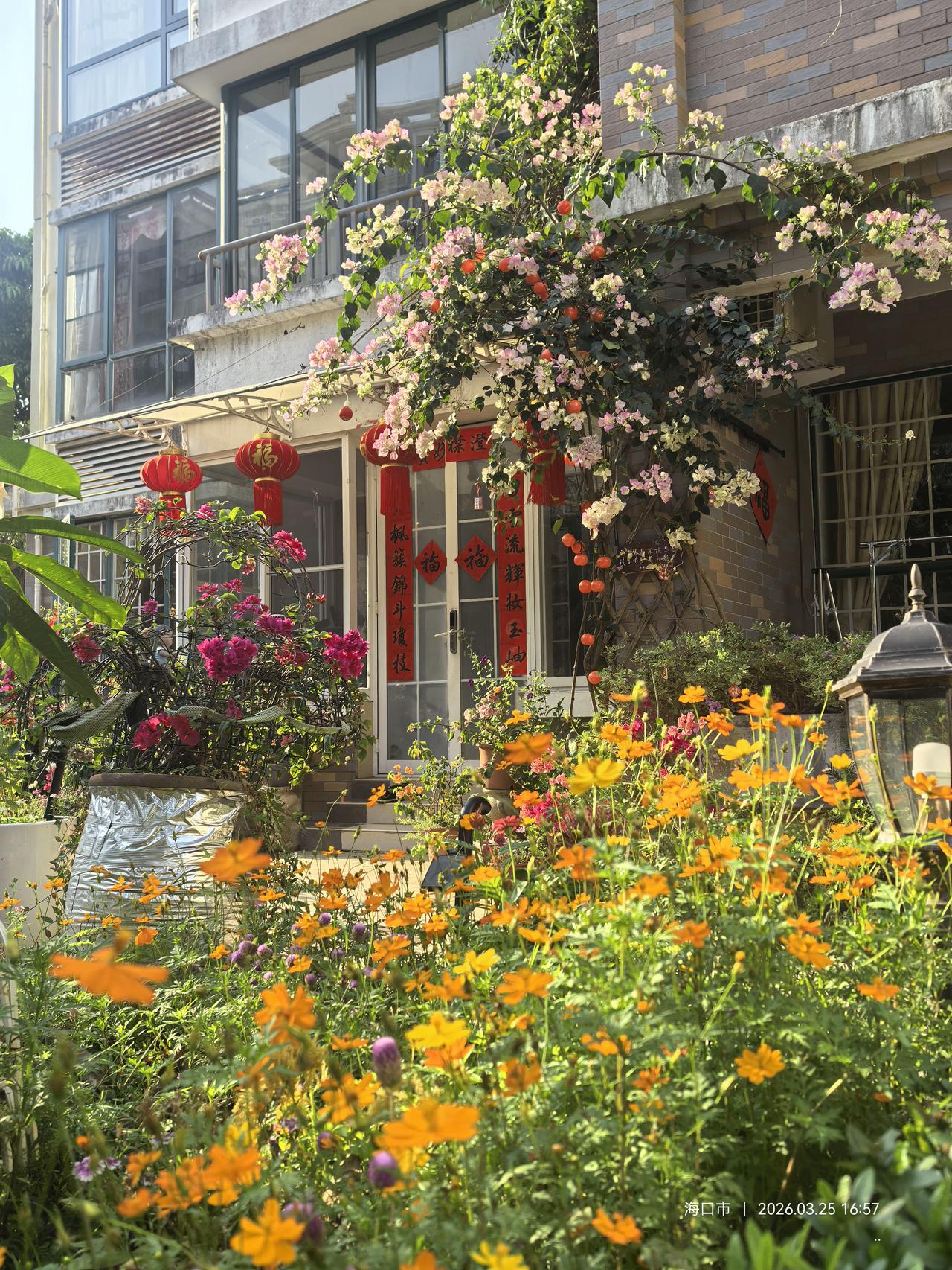 明代大才子杨慎仕途失意，不到四十便归隐林下。我今六十，也即将退休，不免向往他“琴