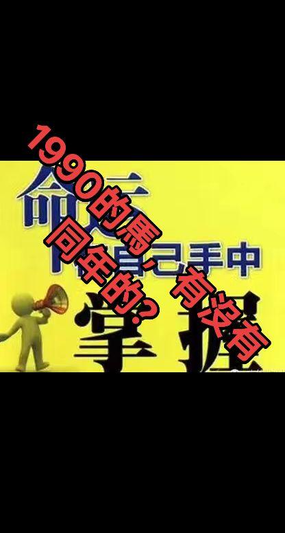 稳住上岸 90年的马
