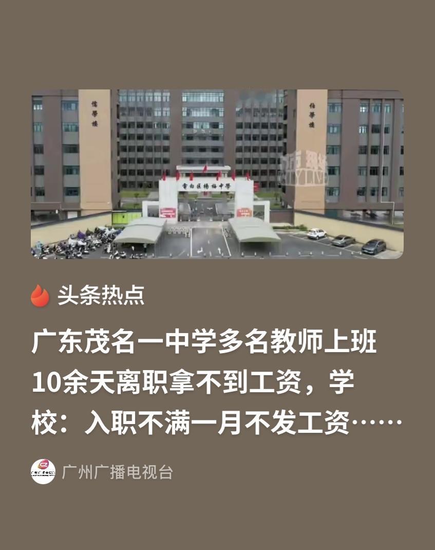 广东茂名，一群从师大刚毕业的应届生，入职某中学仅10多天就集体离职。他们原本是校