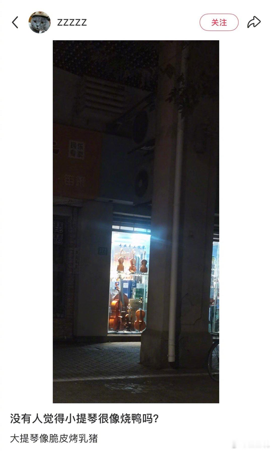 小提琴真的很像烤鸭假日先疯派春日放个疯 ​​​