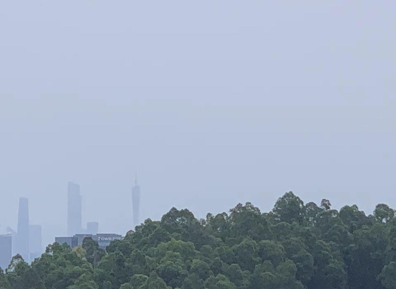 回去当一段时间的人类啦不当牛马啦 人不会同时有钱 有时间 还有心情 差不多就出发