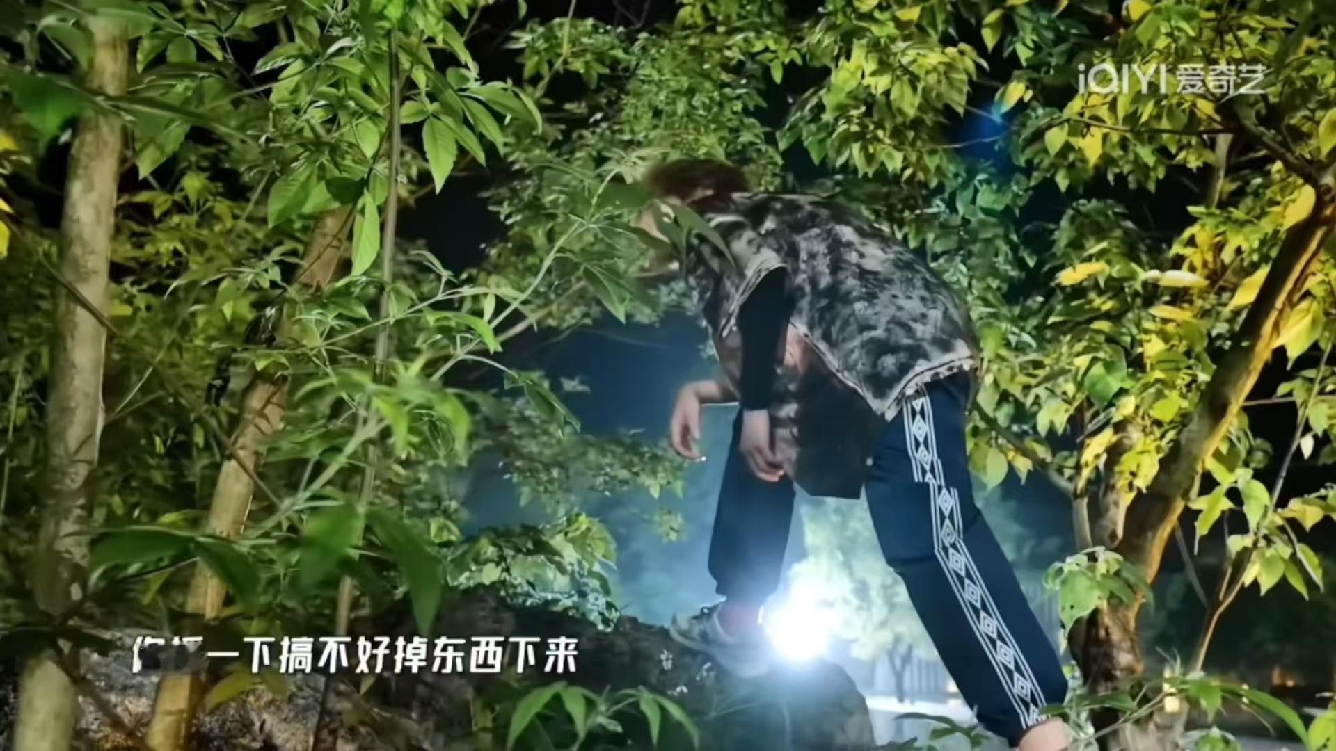 鹿晗说听邓超的鹿晗爬树哈哈哈哈哈 五哈狼人杀环节氛围拉满，鹿晗为了赢比赛，全程认