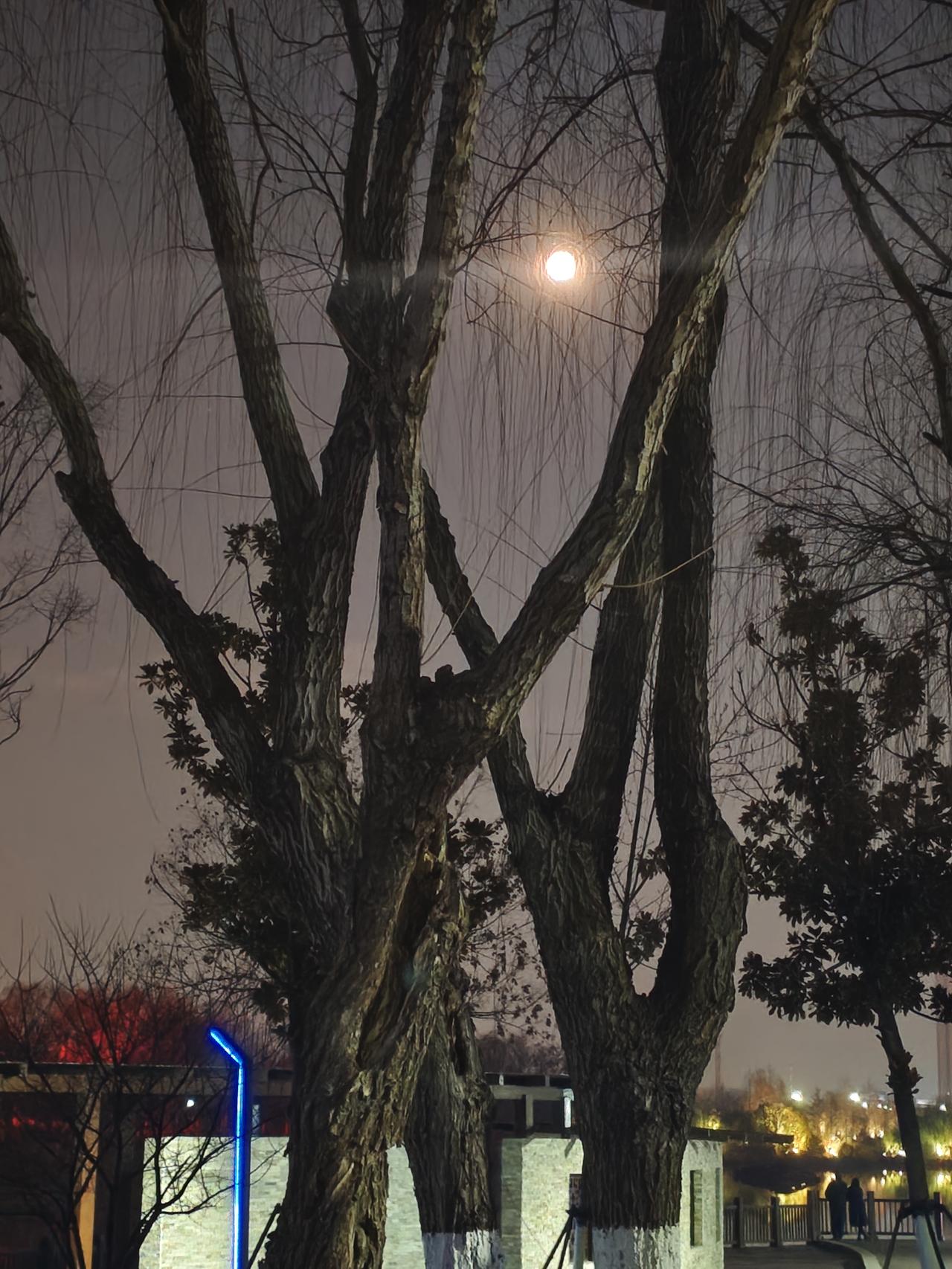 本来想拍个又大又圆的月亮，奈何设备有点老，稍微拉大一些就全是噪点，试了好多次，只