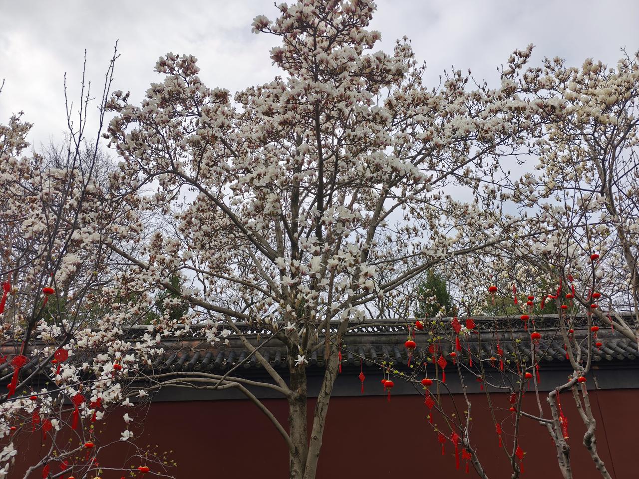 伊朗要坚决打击美国嚣张气焰，让美国再不敢为所欲为！从伊朗防空困境看：为何先进装备