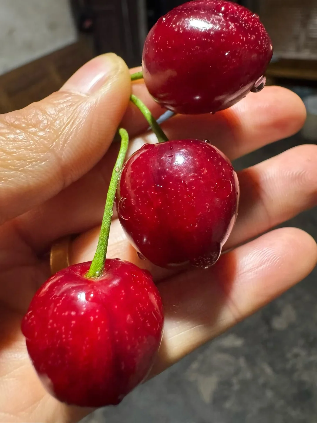 有了他谁还吃保鲜的车厘子啊！