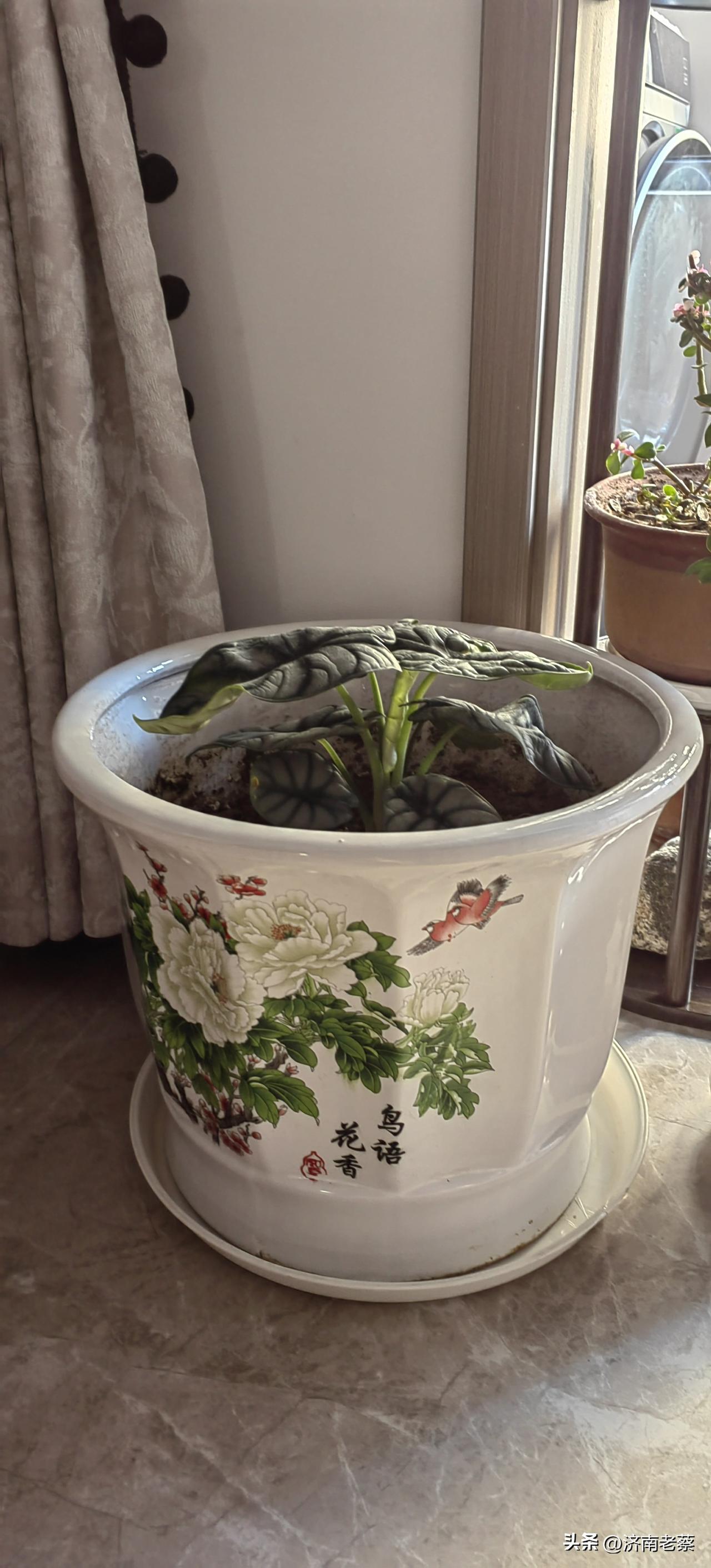 犹太教那么弱小，为什么影响力巨大一个极端自私自利的民族，影响力巨大一点都谈不上，