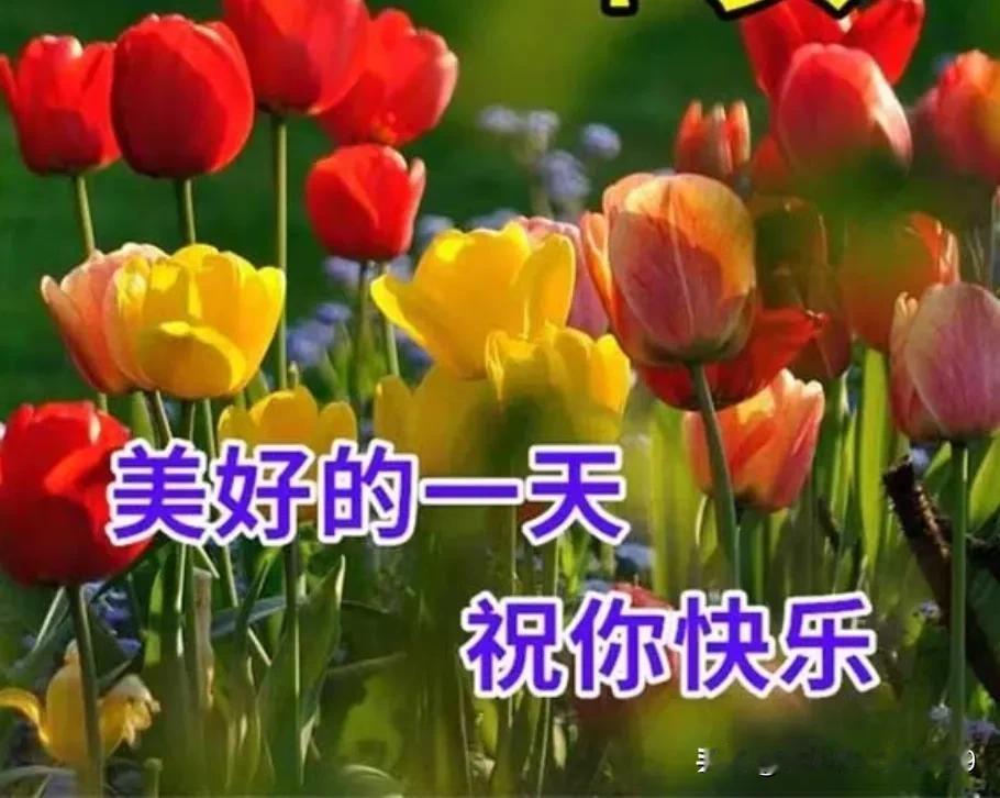 佳作欣赏！文采斐然！
精彩纷呈！妙笔生花！
才华横溢！支持点赞！
[赞][赞][