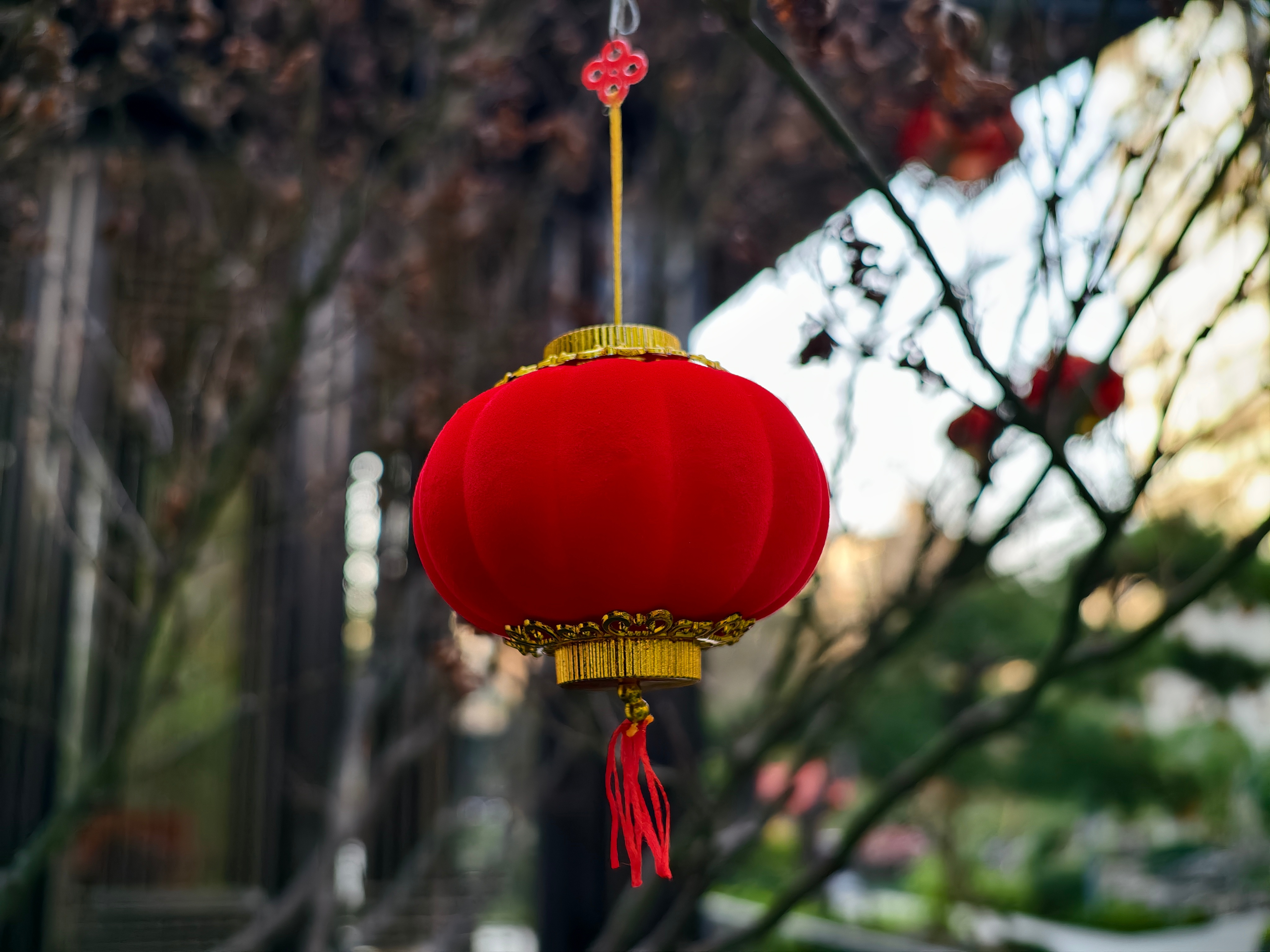 过年大丰收，行大运 