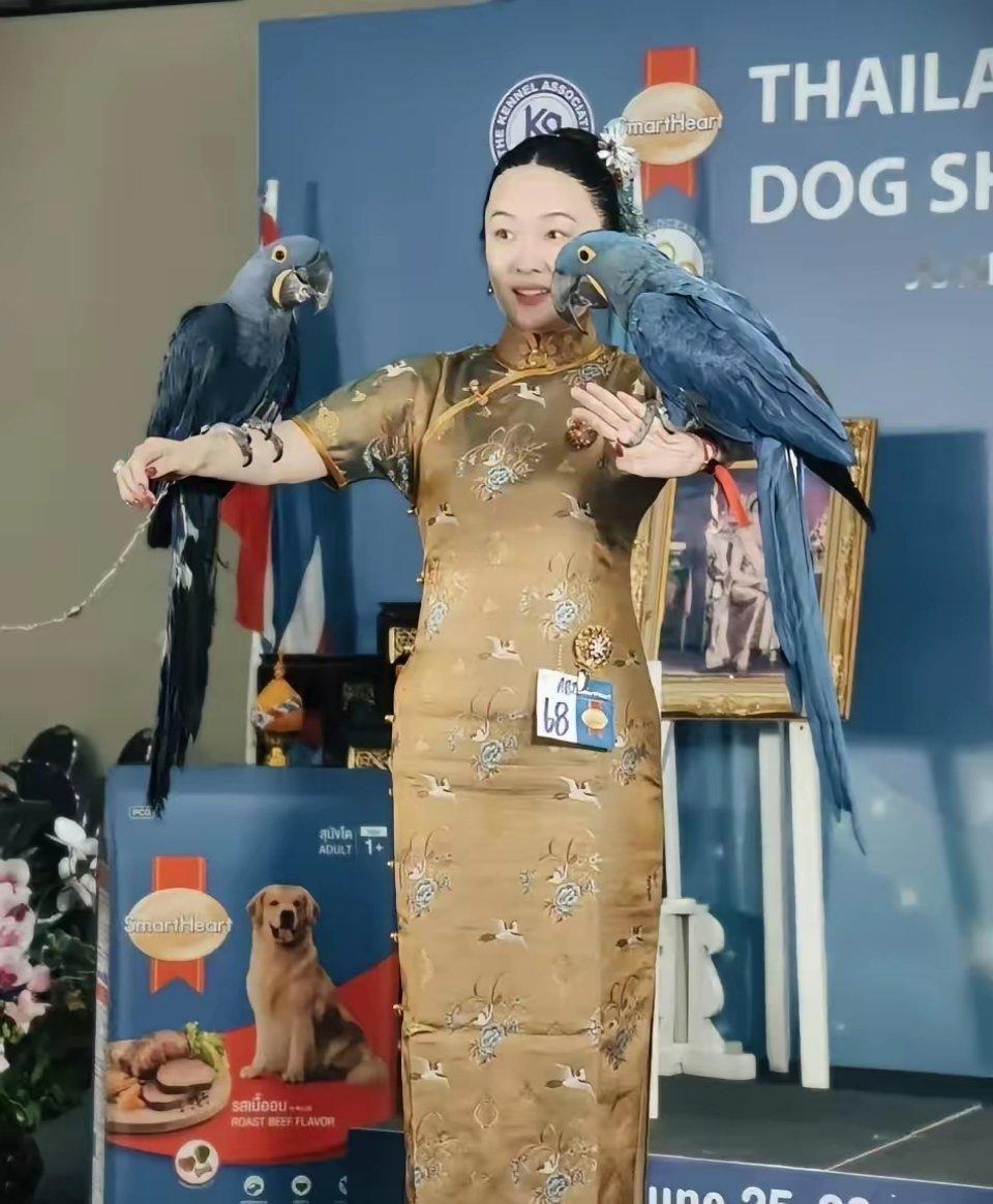 霍思燕又拿冠军了！这回不是狗，是她养的鸟也争了气。前阵子刚带着狗狗在国际比赛上获