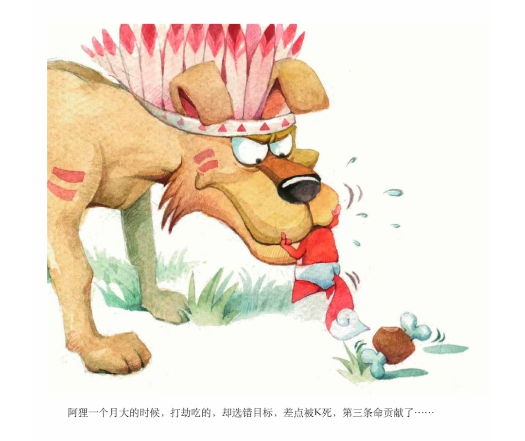 阿狸第6条命跟他妈妈一起走了…… 