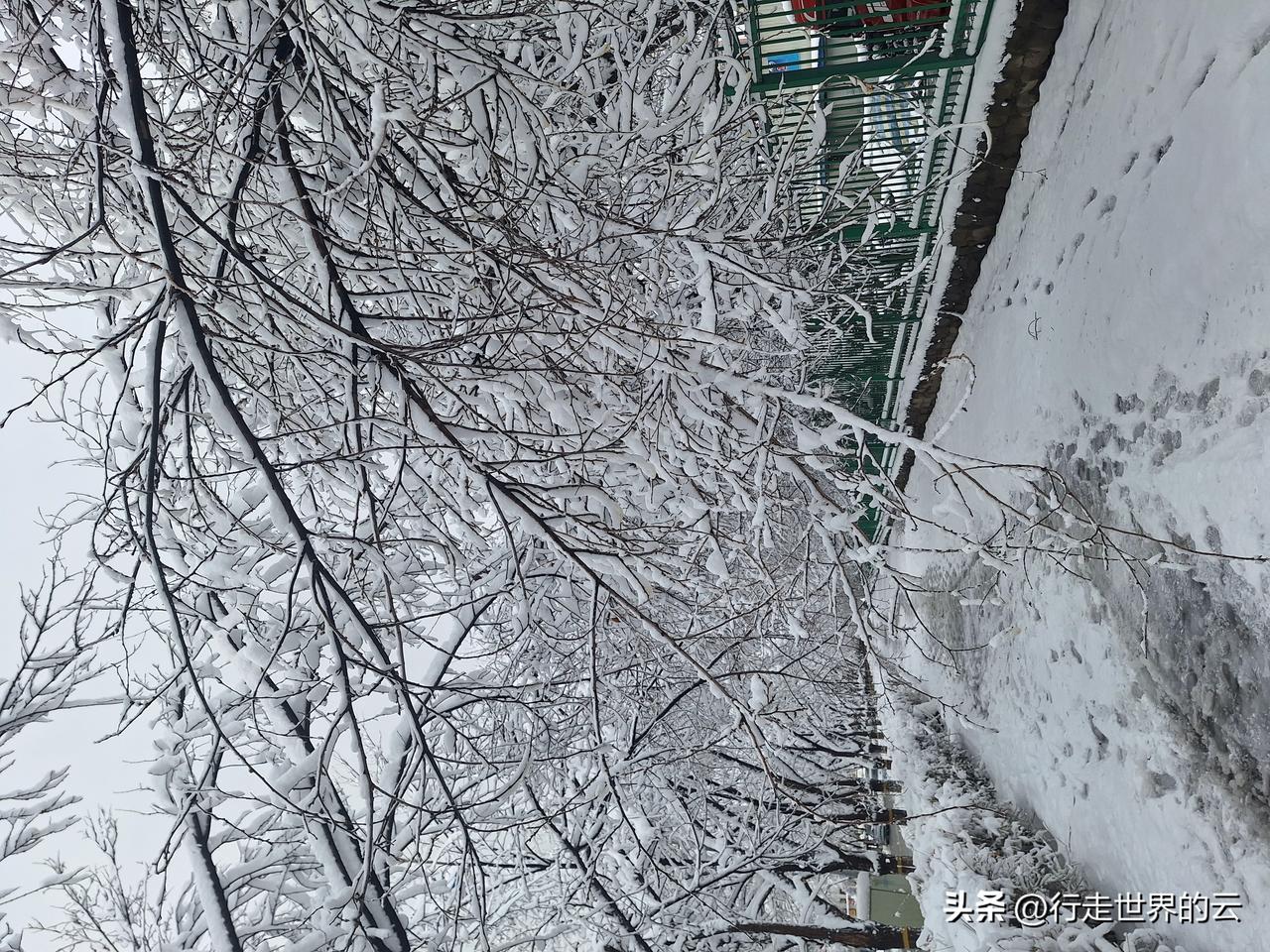 走在这样的树林里，我来一次模拟雪崩，虎啸龙吟，把声音强度增加到70分贝，无需直接