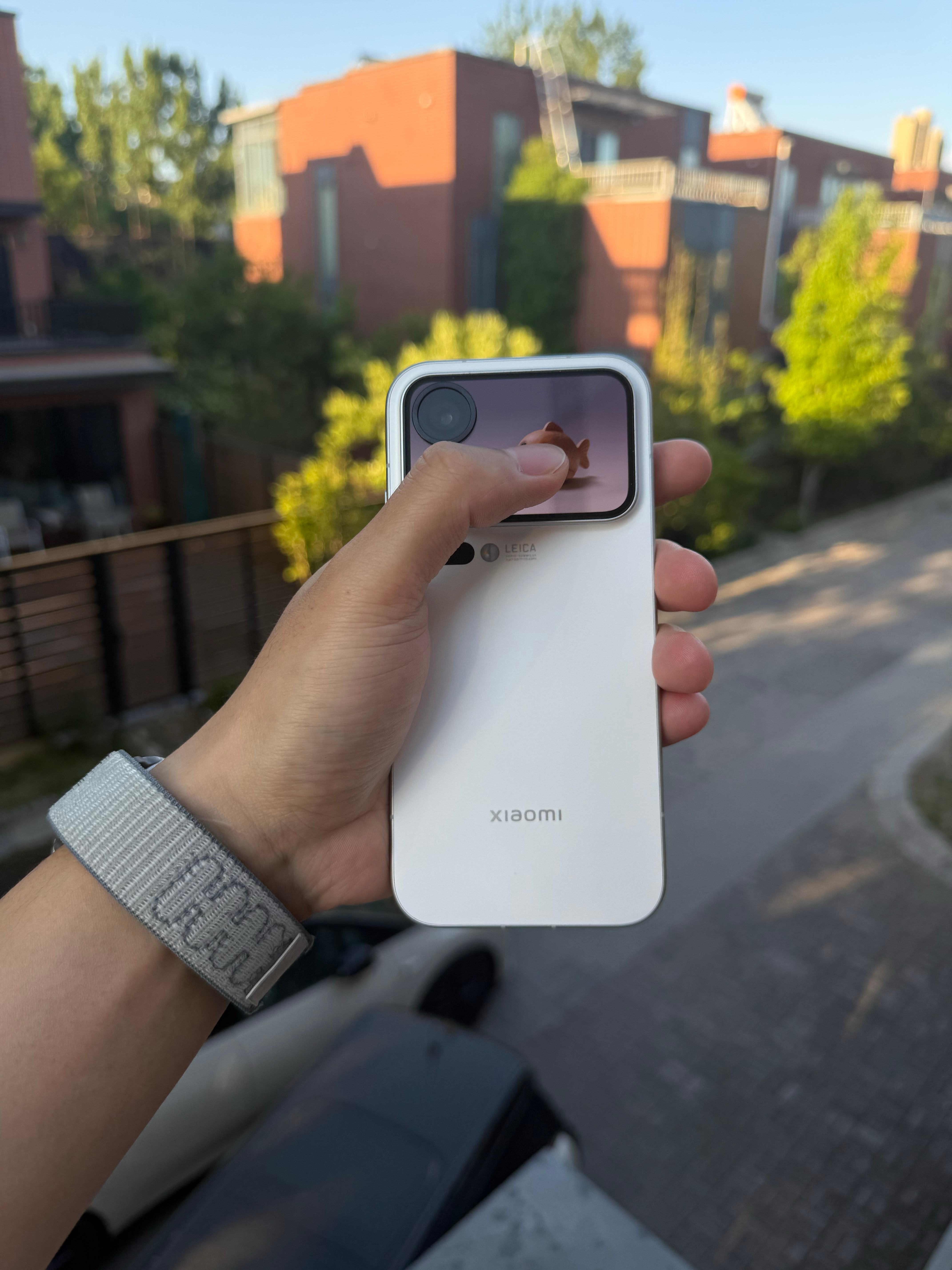 果然还是小米机主最有功德了