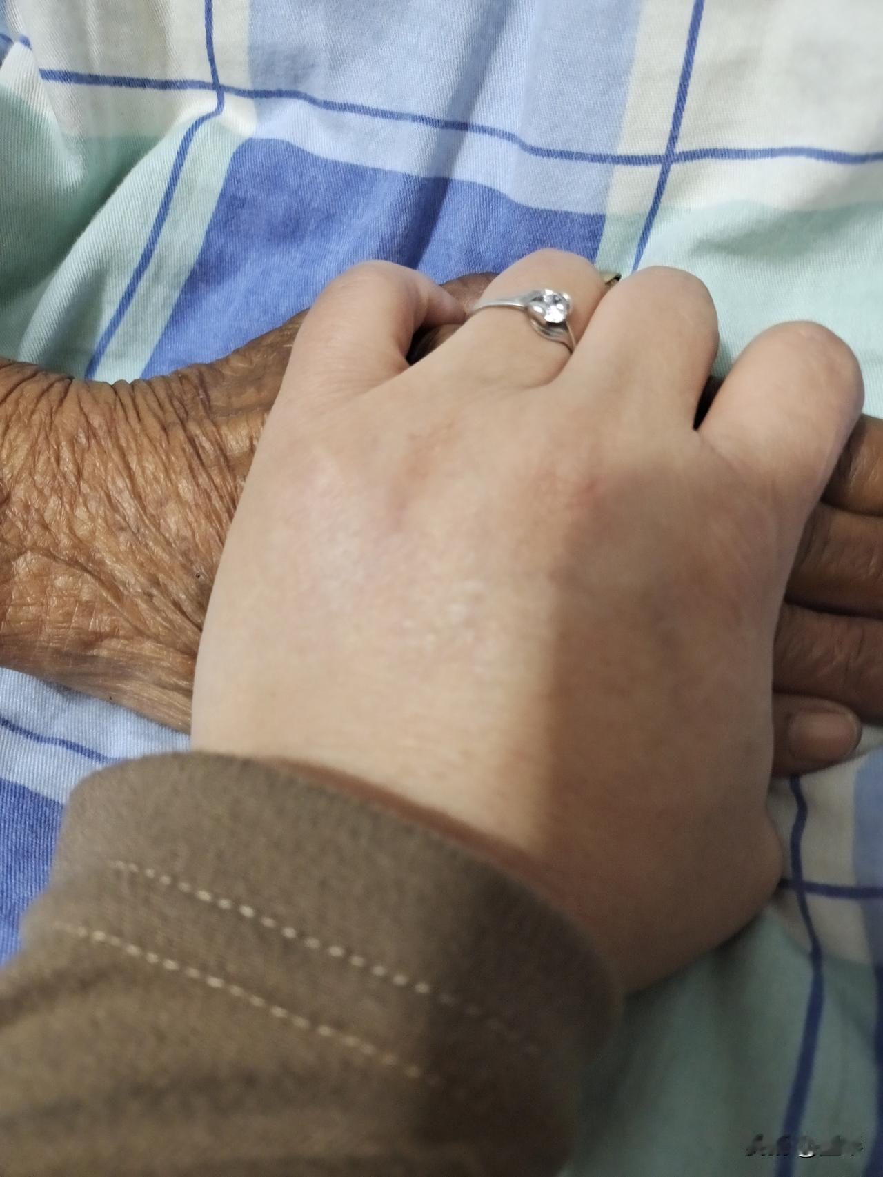 握   手

作者:墨琴
 
她的手是被岁月揉皱的纸
裹着我小时候的泪花
和深夜