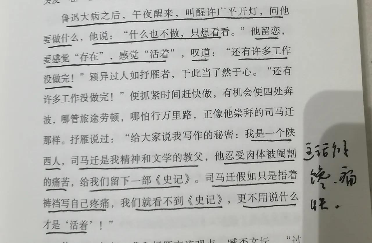 是不是给了伤痕文学一记响亮的耳光？

雷抒雁说过，假如司马迁只是捂着裤裆写自己疼