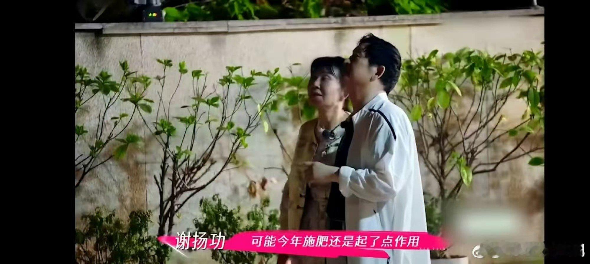 李维嘉说谢娜爸妈就是父母爱情 姐姐当家瞧瞧李维嘉所言，谢娜爸妈是父母爱情典范，饭