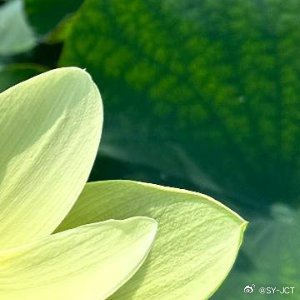 每日一善每日一善 人生的路经历过，才知道有短有长；岁月，在无憾中微笑，才美丽；回