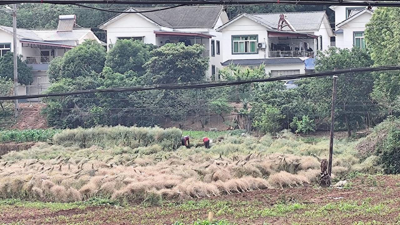 晒图笔记大赛春耕生产开始了，往日里在田间地头，难得有这么热闹的场景！人们都在忙碌