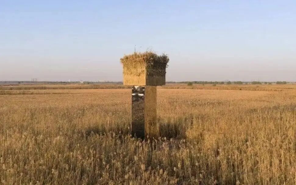 湖南洞庭湖一镜面艺术装置被指“人造候鸟屠场”？ 当地回应：正