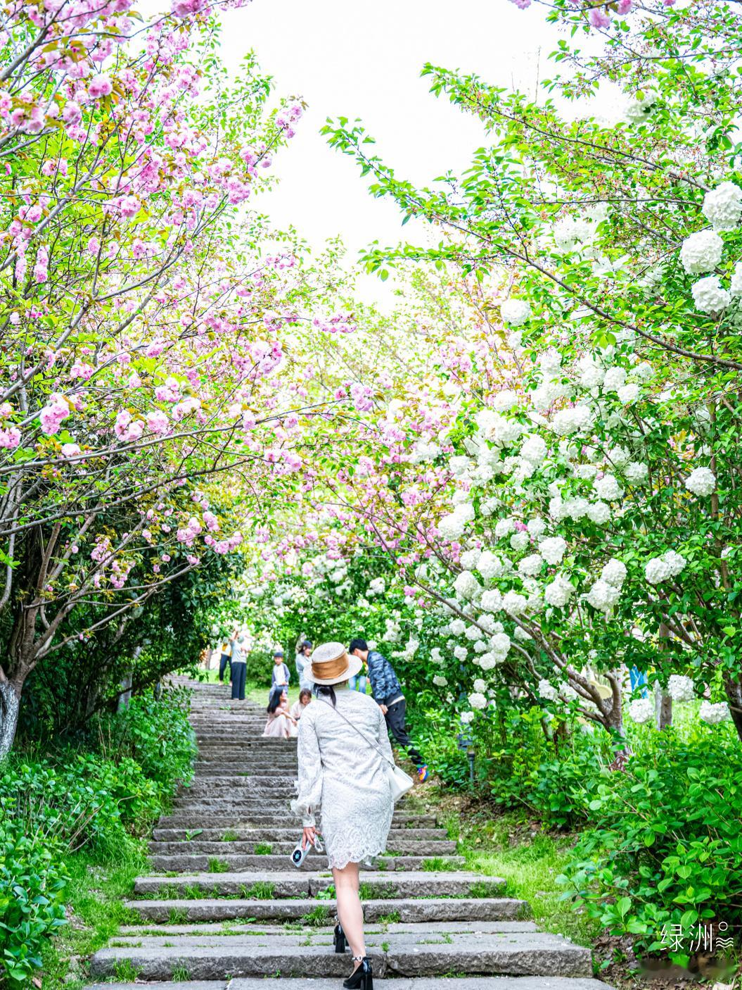 踏青 杭州｜湘湖#春游季#  