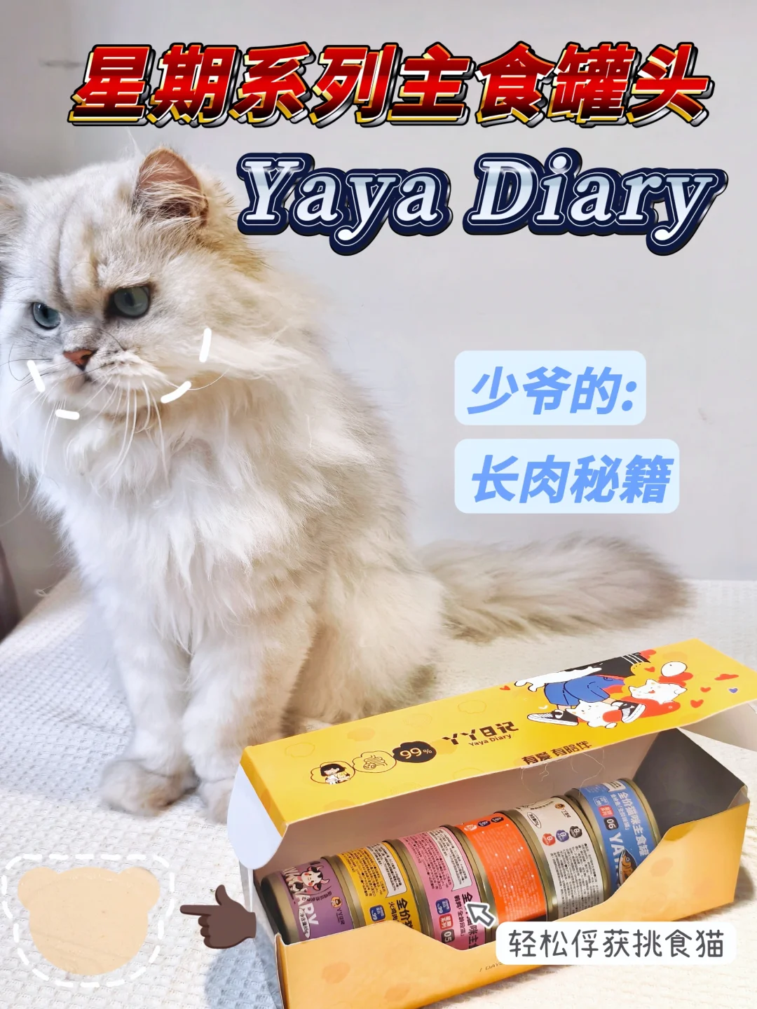 今日目标:馋哭一只小🐷咪