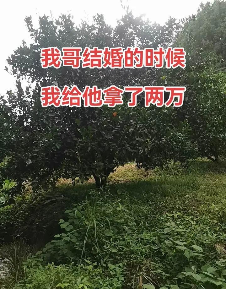 国乒女团深陷1-2落后险境上演逆风翻盘！孙颖莎顶住压力拿下两分稳住战局，王曼昱在