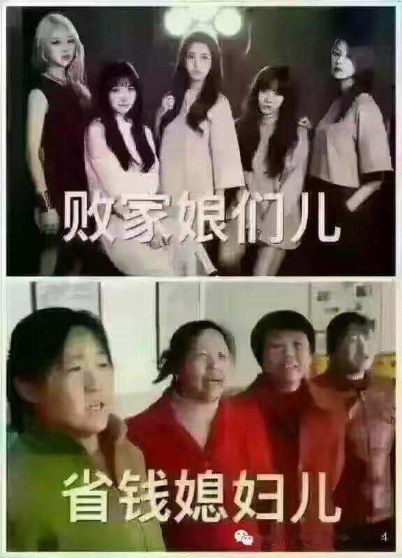 你怎么选？