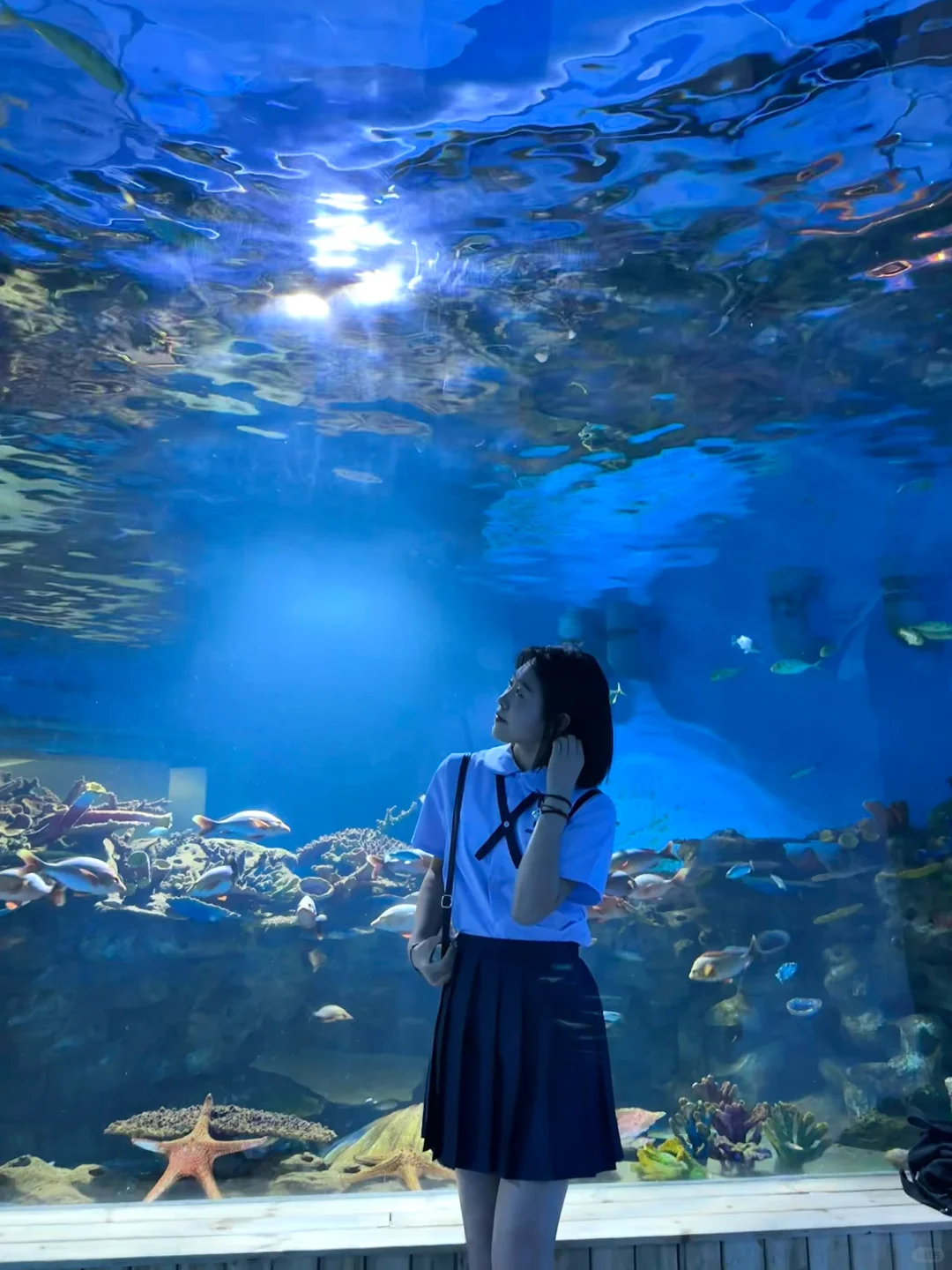 呼和浩特💙闯入蓝色海洋世界🐳🌊