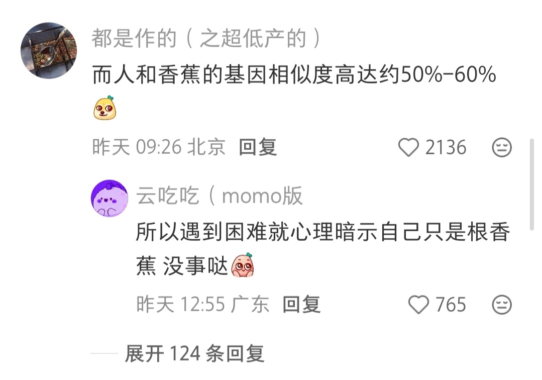 其实人是一根香蕉 