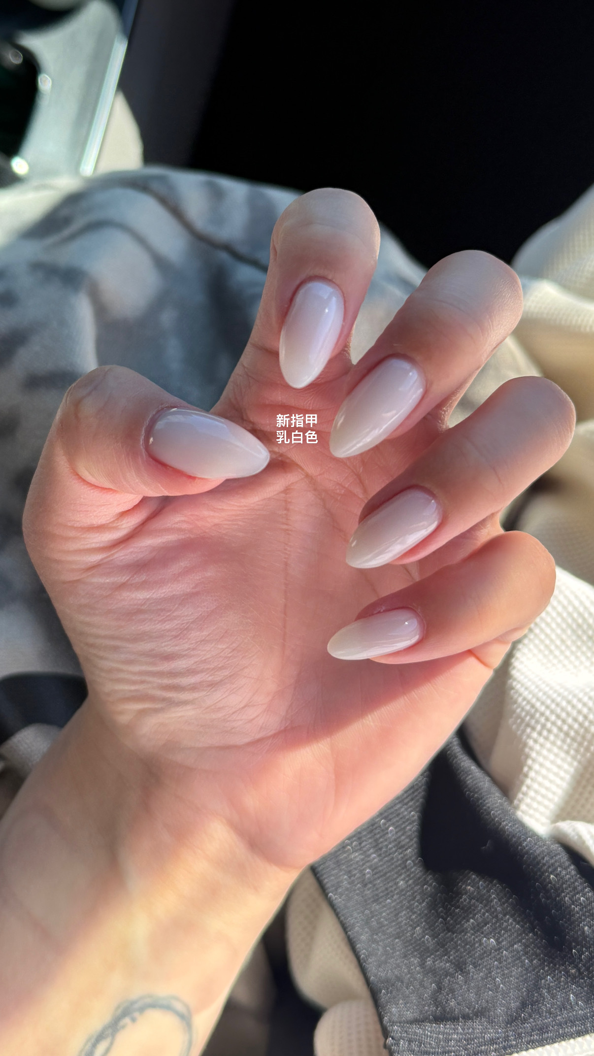 王扒蒜的动感蒜苗园 😽亲发财大家 