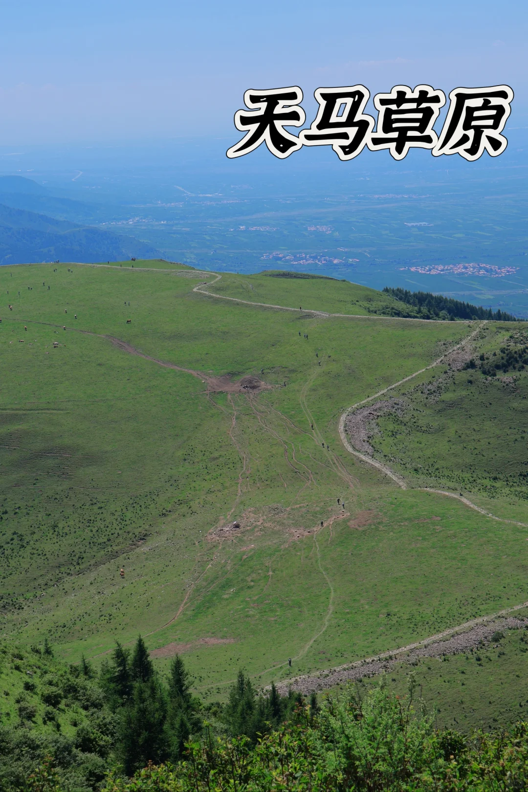 天津出发爬山|组队|7.28|高山草甸