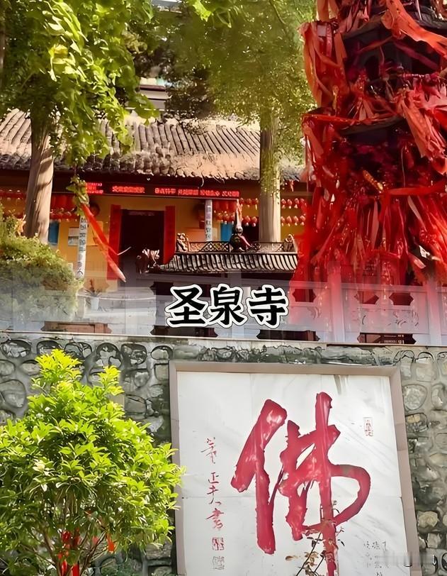 千年古寺红墙古柏，随手一拍都是禅意大片。

人少景美，性价比与出片率双高 。