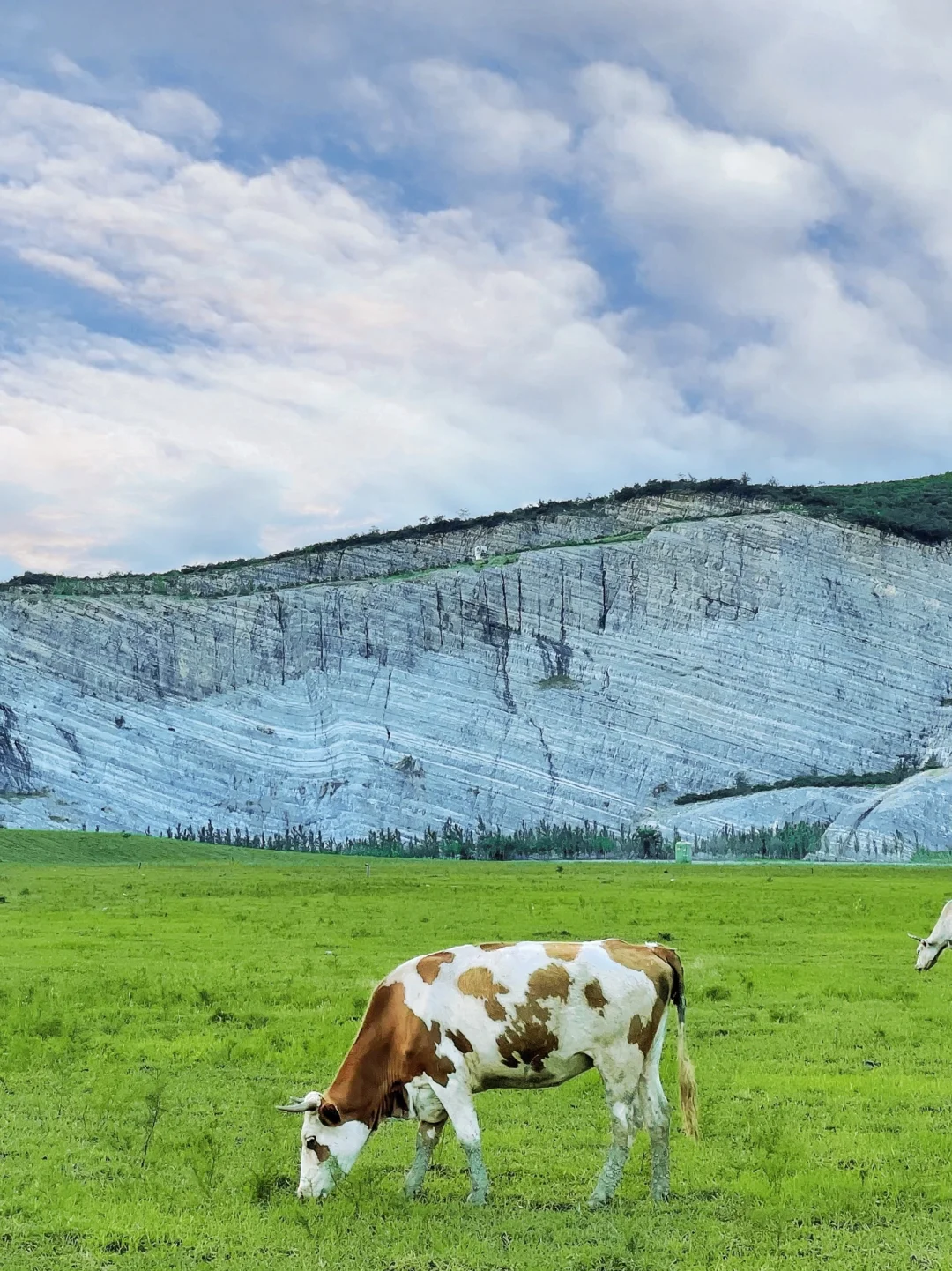 真的不是川西‼️北京1h的日照金山➕大草原🌅