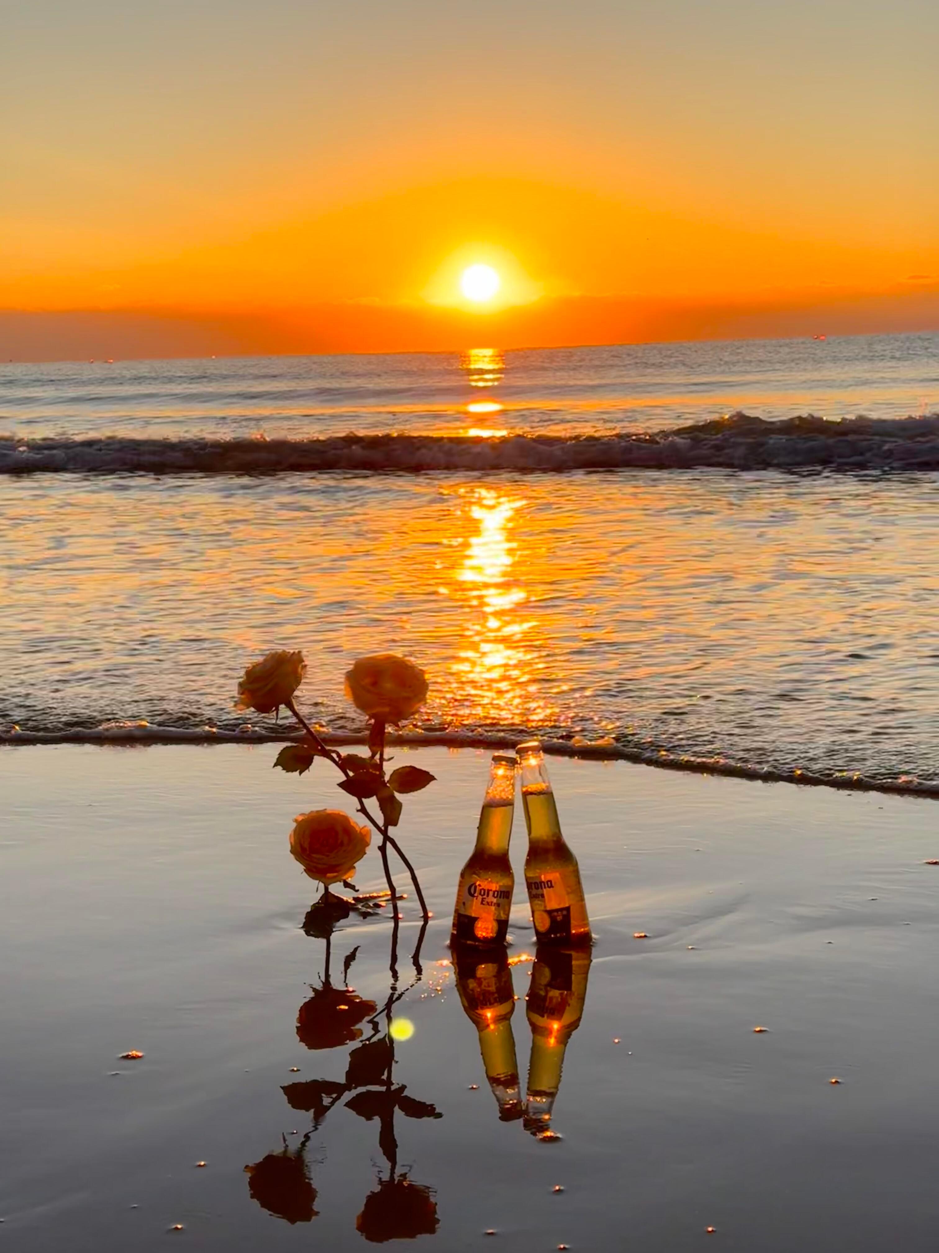 毕业季  来夏日企画分享海边治愈壁纸🌴 椰林碎浪、落日漫过金色沙滩，温柔氛围感