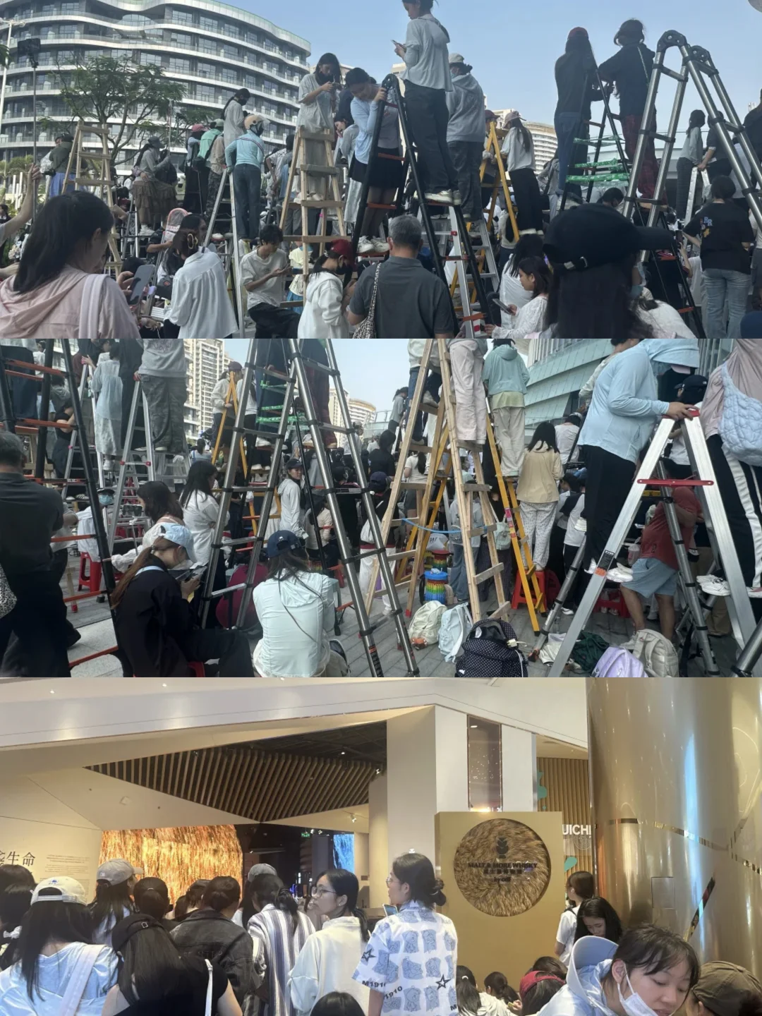 免税城，现在的情况