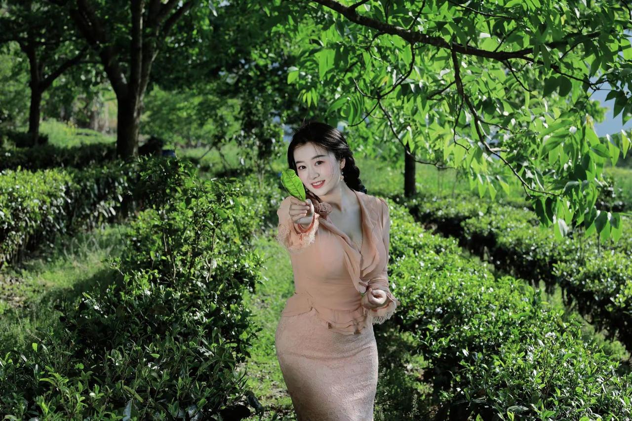 进了茶山，就不想山外的事