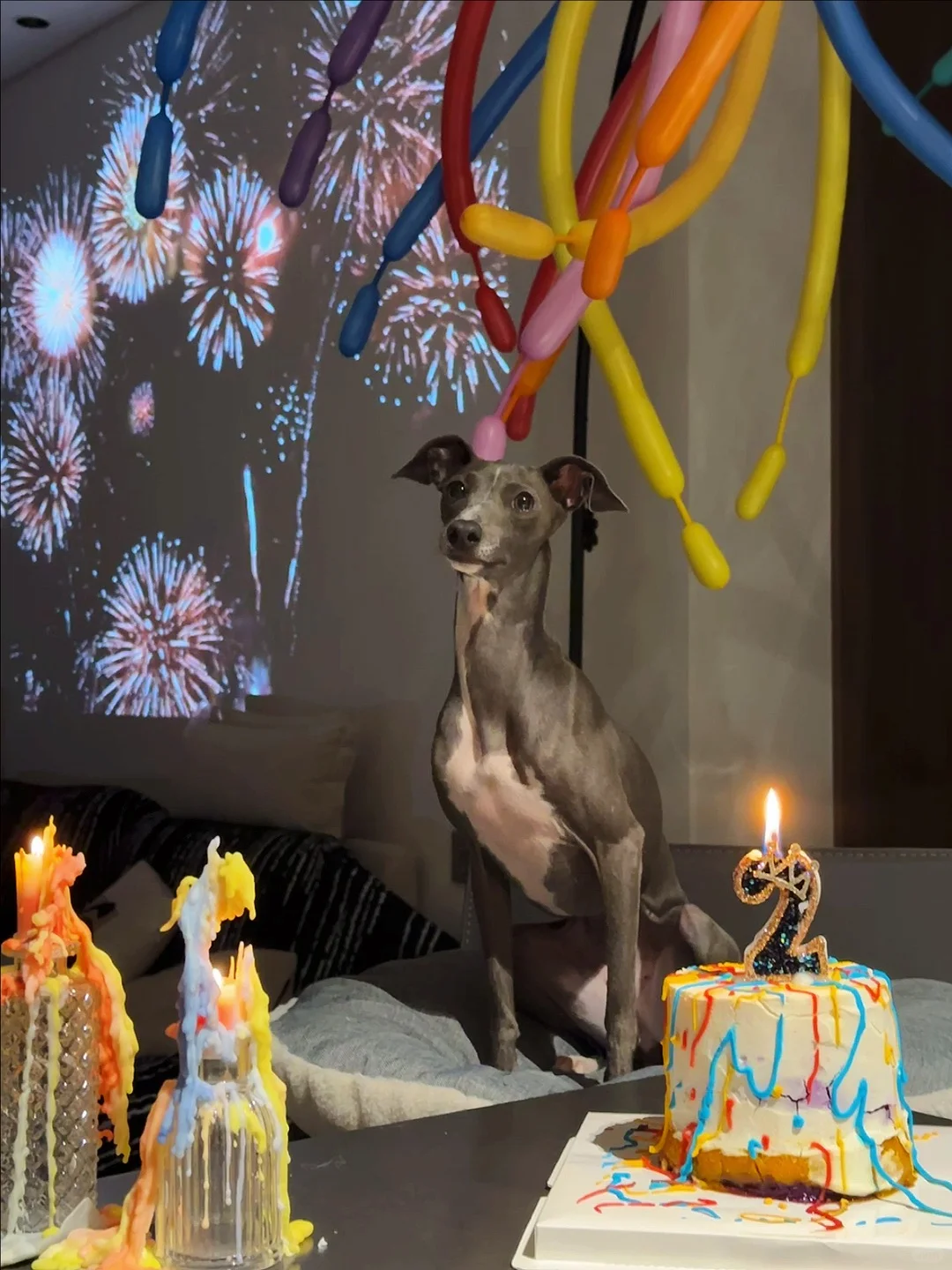 有“苗”不愁长 🎂❷岁生日快乐