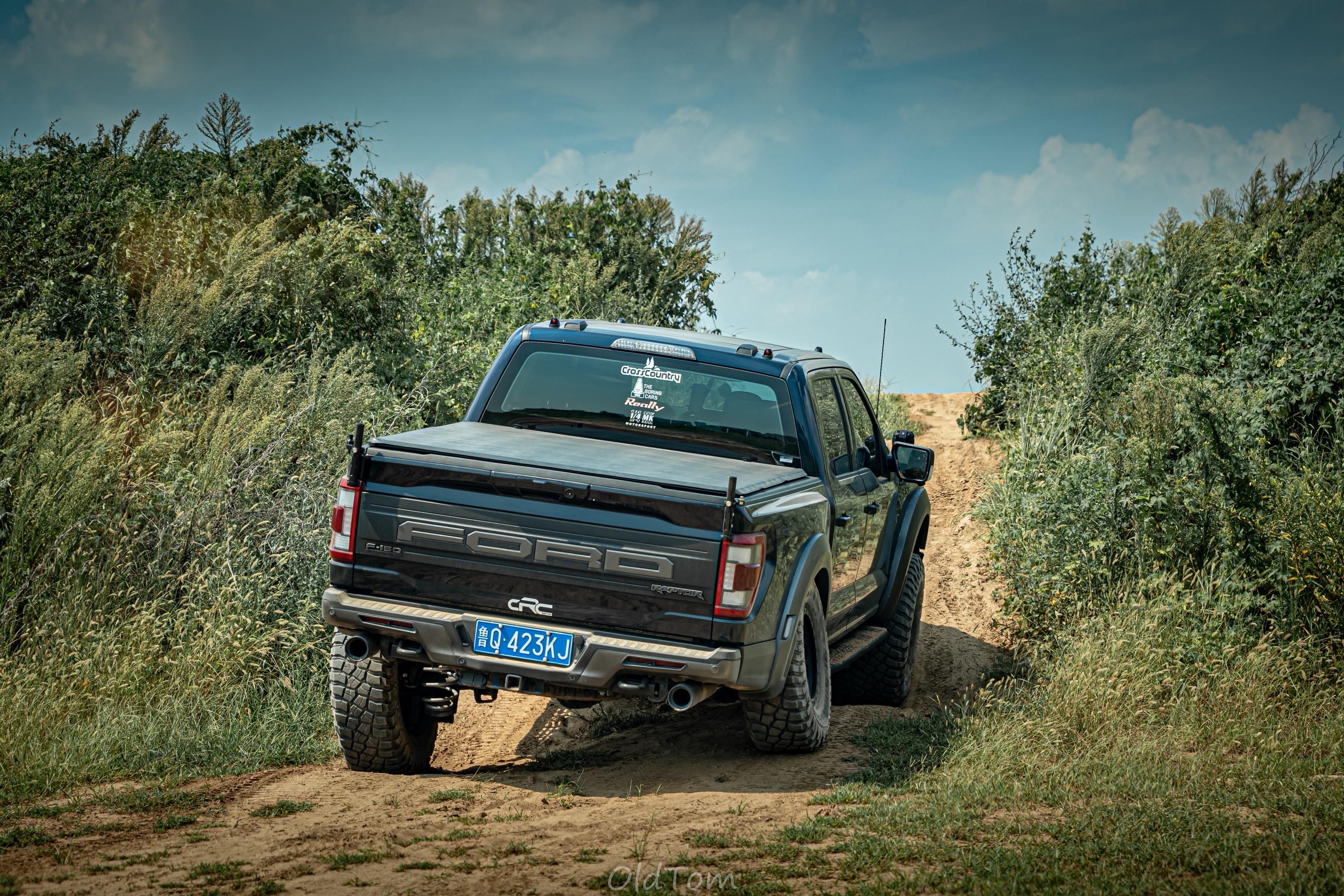 有没有卖霸王龙或者三代猛禽的，收一台自己开